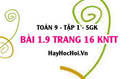 Bài 1.9 trang 16 Toán 9 tập 1 Kết nối tri thức SGK